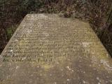 image of grave number 432987